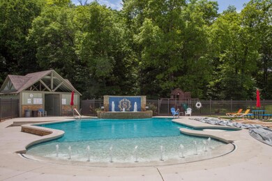 Saddlebrook pool[19]