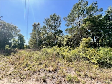 4956 E Posselt Dr, Hernando, FL 34442 - photo 4