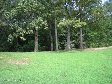 545 S Sanders Ln, Lebanon Junction, KY 40150 - photo 5