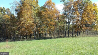 20 Hickory Loop Dr, Old Fields, WV 26845 - photo 7