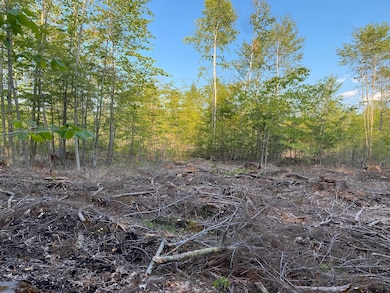 00 Great Falls Rd, Gorham, ME 04038 - photo 2