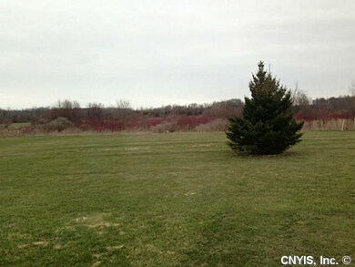 Yard/Garden Back Yard