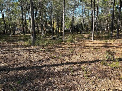 1408 Covewood Dr, Tyler, TX 75703 - photo 3