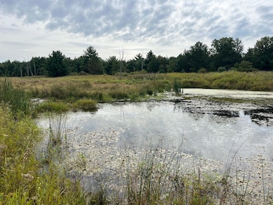 33 Acres 10th Ave, Adams, WI 53910 - photo 4
