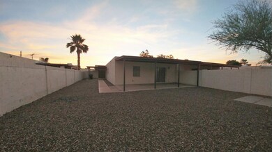 Backyard3