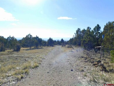 0 Uintah Rd unit 752141, Cedaredge, CO 81413 - photo 7