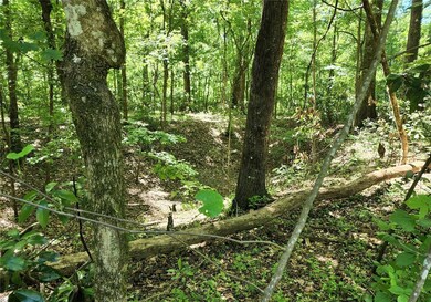 0000 SW Delaware Way, Fort White, FL 32038 - photo 4