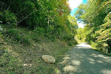 16 & 17 Cullowhee Forest Rd, Cullowhee, NC 28723 - photo 5