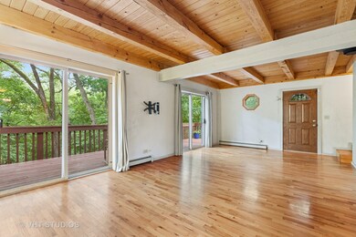 266 Deerpath Ln, Carpentersville, IL 60110 - photo 6