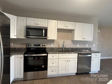 3301 Paul Elmore Rd, Lincolnton, NC 28092 - photo 3