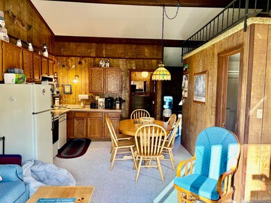 E6185 E Snow Strasse Ln unit 522-22, Ironwood, MI 49938 - photo 6