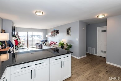 Courtland Hall unit 317, Saint Louis, MO 63141 - photo 5