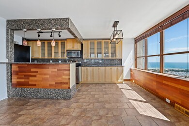 Park Place Tower unit 4101, Chicago, IL 60613 - photo 4