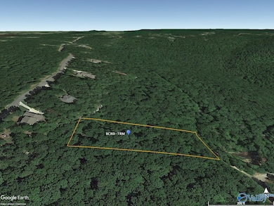 2.00 Ravens Ridge Rd, Gurley, AL 35748 - photo 4