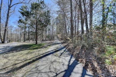 617 Rock Springs Rd, Lawrenceville, GA 30043 - photo 3