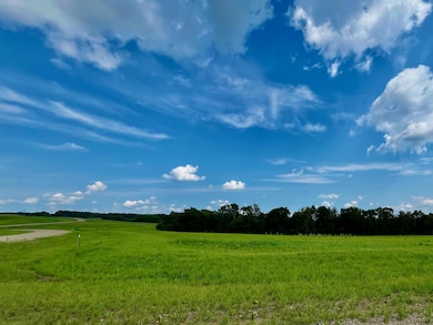 Lot 10 Block 2 River View Trail, Pelican Rapids, MN 56572 - photo 5