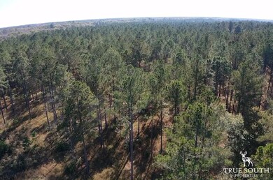 Rd, Luray, SC 29932 - photo 4