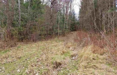 0 Faraway Rd unit 4670970, Dalton, NH 03598 - photo 5