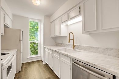 Marble counter tops & LVP flooring