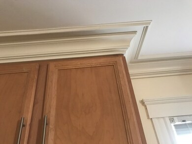 65 Conwell Ave unit 1-1, Somerville, MA 02144 - photo 6