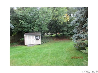 Shed