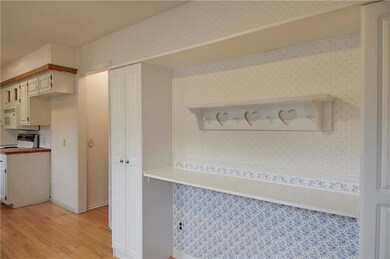 Kitchen built in shelf and pantries