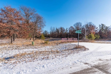 tbd Jasperwood, Baxter, MN 56425 - photo 2