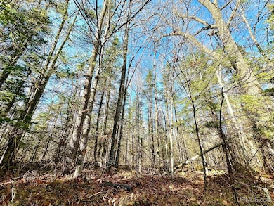 Parcel 7 Sportsmens Club Rd, Iron Mountain, MI 49801 - photo 2