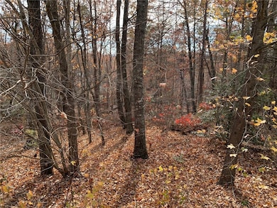 315 Highridge Pkwy, Marietta, SC 29661 - photo 5