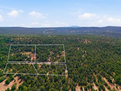 4 Hayner Ct, Tijeras, NM 87059 - photo 4