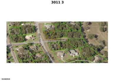 3011 W Challenge Ct, Dunnellon, FL 34434 - photo 3