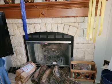 124 Blue Sky Ln, Springtown, TX 76082 - photo 5