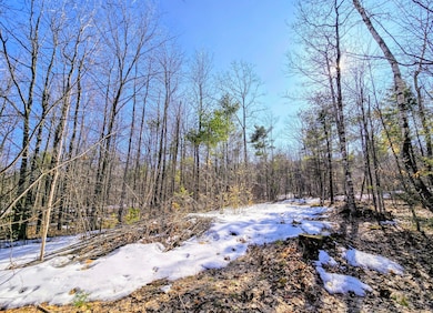 0 Sabattus Trail Rd unit 1617555, Lovell, ME 04051 - photo 6