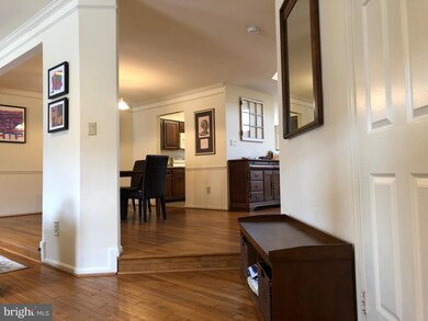 10926 Bloomingdale Dr, Rockville, MD 20852 - photo 3