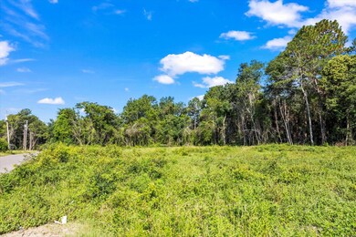 000 Walker Ave, New Ellenton, SC 29809 - photo 5