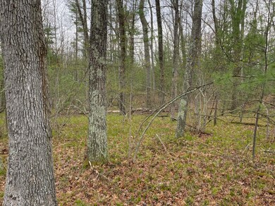 Wooded