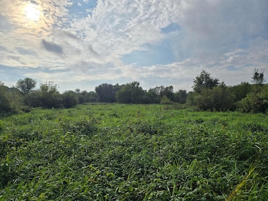 Backs up to public land