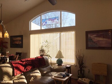 South Facing Sun Exposure