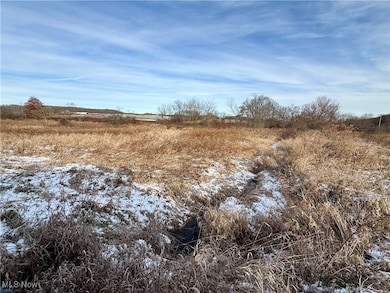 0 Mayham Rd NE, Carrollton, OH 44615 - photo 3