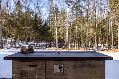 1425 W Sones Rd, Muncy, PA 17756 - photo 6