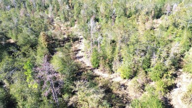 TBD Farm To Market 1280 E, Lovelady, TX 75851 - photo 4