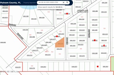 0 Miller Rd unit 2118824, Interlachen, FL 32148 - photo 2