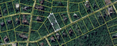 1104 Hunter Ln, Albrightsville, PA 18210 - photo 2