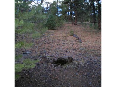 0 Center St unit 12580193, Granite, OR 97877 - photo 6