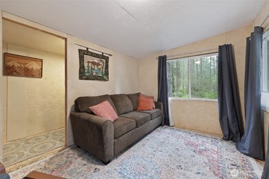 22237 Bluewater Ct SE, Yelm, WA 98597 - photo 4