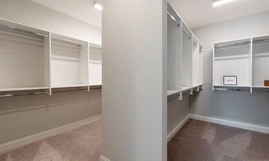 Perfect Closet, Room-Sized & Divided 