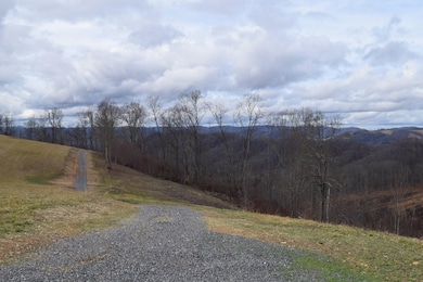 0 Big Springs Rd unit 19372195, Eidson, TN 37731 - photo 7