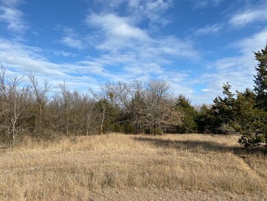 TBD Cr 118 Lot 2, Whitesboro, TX 76273 - photo 3