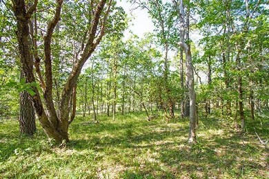 0 Hugo Rd, Grants Pass, OR 97526 - photo 7