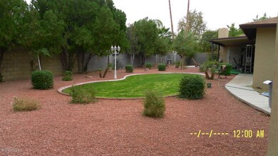 Back yard pic 2